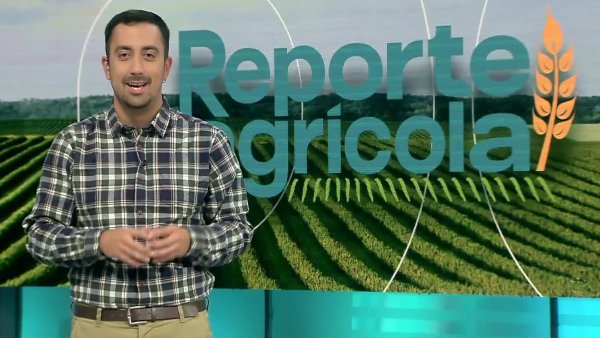 Reporte Agrícola - capítulo 19 de mayo 2024
