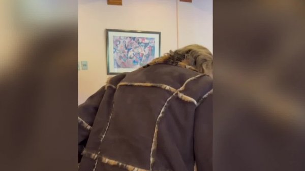 Revelan nuevo video clave de desaparición de adulta mayor en Limache
