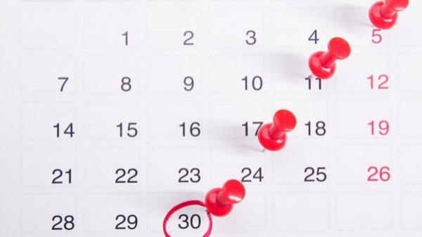 Feriados 2024: ¿Cuántos quedan en el calendario oficial de Chile?
