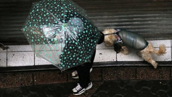 Sistema frontal: se espera otro más débil para el fin de semana