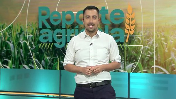 Reporte Agrícola - capítulo 26 de mayo 2024
