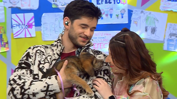 ¡Awww! Mira esta jornada de adopción de perritos en Efecto N