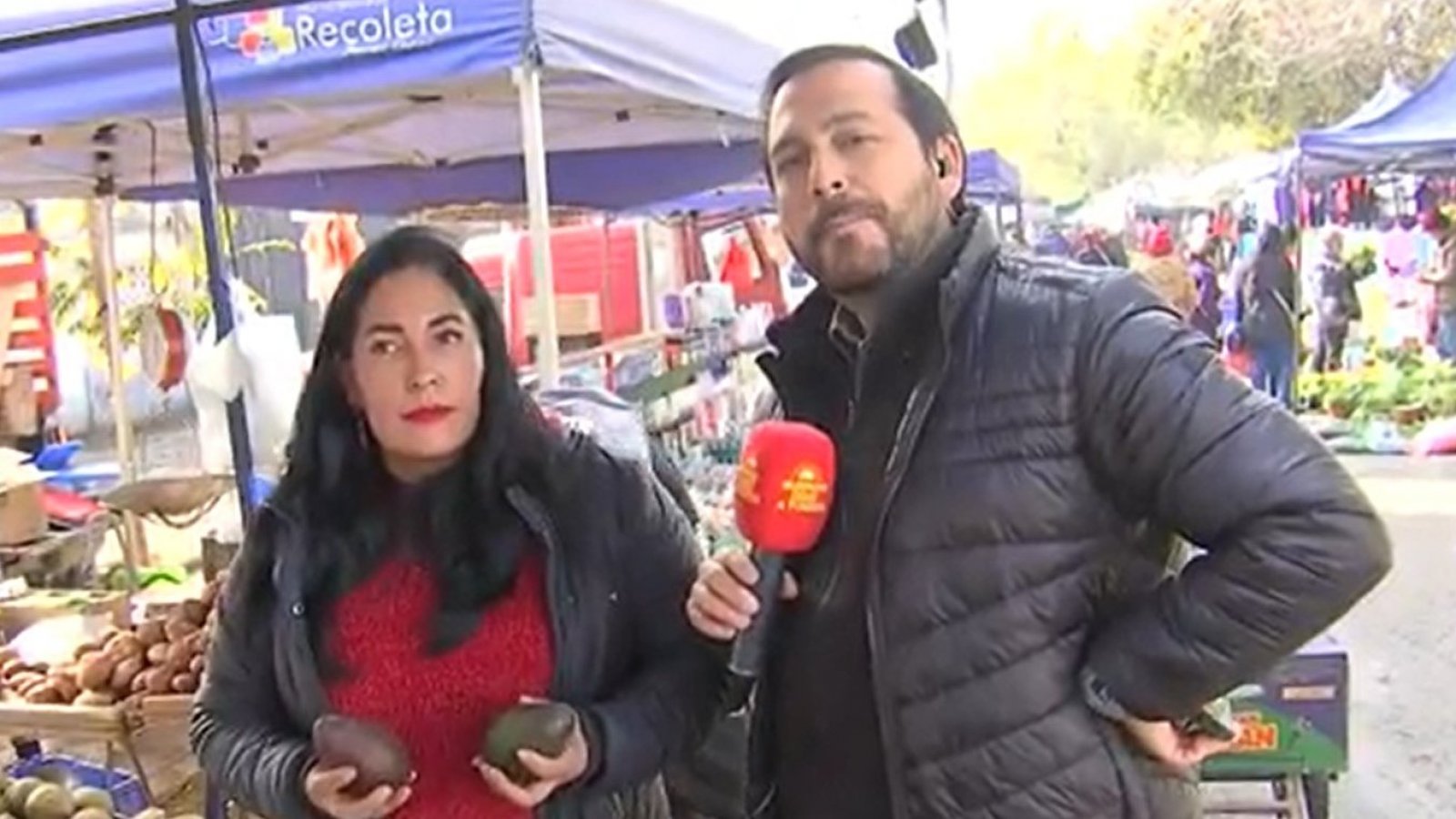 Una buena noticia: ¡Bajaron las paltas!
