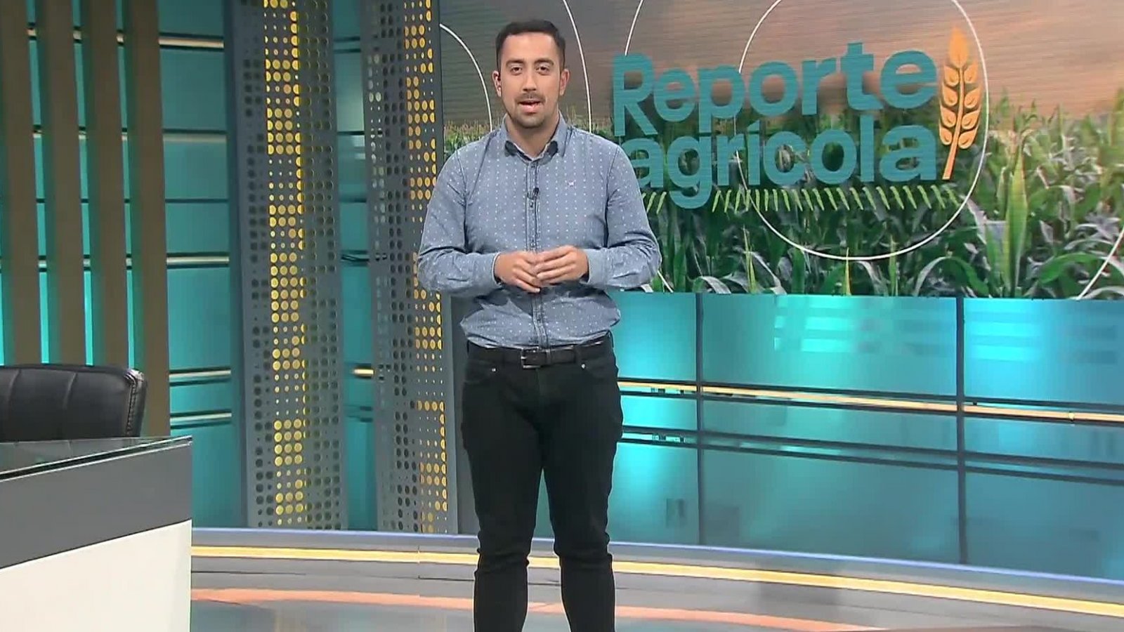 Reporte Agrícola - capítulo 2 de junio 2024
