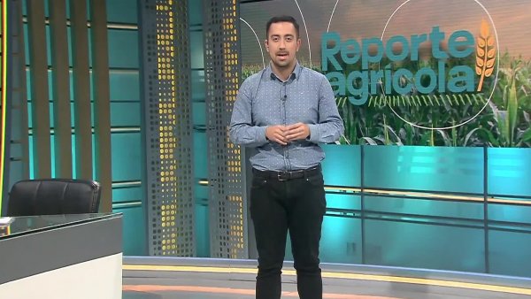 Reporte Agrícola - capítulo 2 de junio 2024
