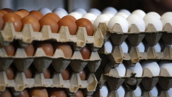 Producción de huevos aumentó 10% en abril, pero los precios subieron 7%
