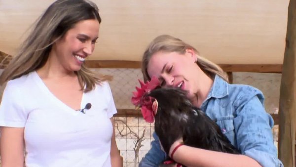 Mujeres que inspiran: Eliana Albasetti convirtió su casa en un santuario para animales
