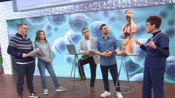 La doctora Herrera nos explica: ¿Cómo afecta la bacteria neumococo?
