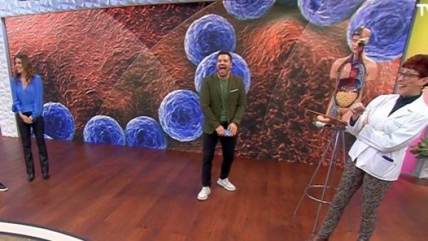 La inocente pregunta de la doctora Herrera que sacó risas en el matinal
