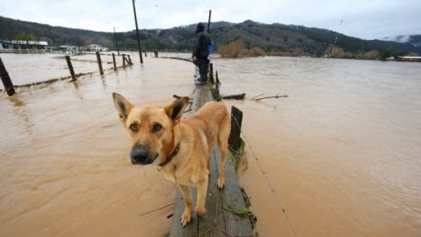 Declaran alerta roja en toda la Región del Biobío debido a sistema frontal