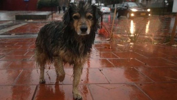 Lluvia comienza esta noche en la RM y dejará unos 30 mm de agua
