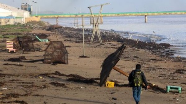 Tromba marina causó daños en techos y derribó postes de luz en Penco
