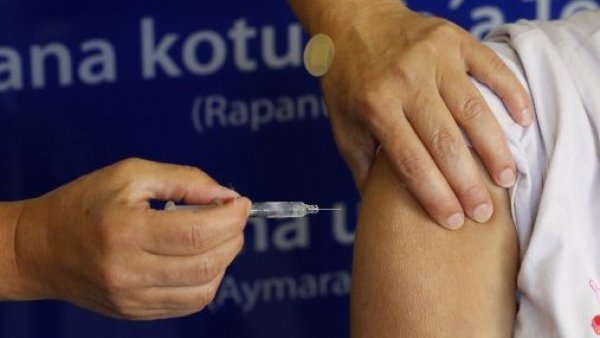Influenza: 81% de la población objetivo fue vacunada

