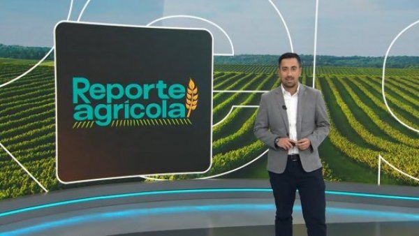 Reporte Agrícola - Capítulo 07 de julio de 2024
