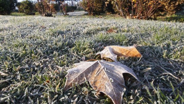 Se esperan hasta -4°C: Advertencia agrometeorológica por intensas heladas en siete regiones
