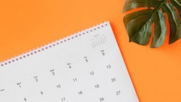 Feriados 2024: revisa los que quedan en el calendario oficial de Chile
