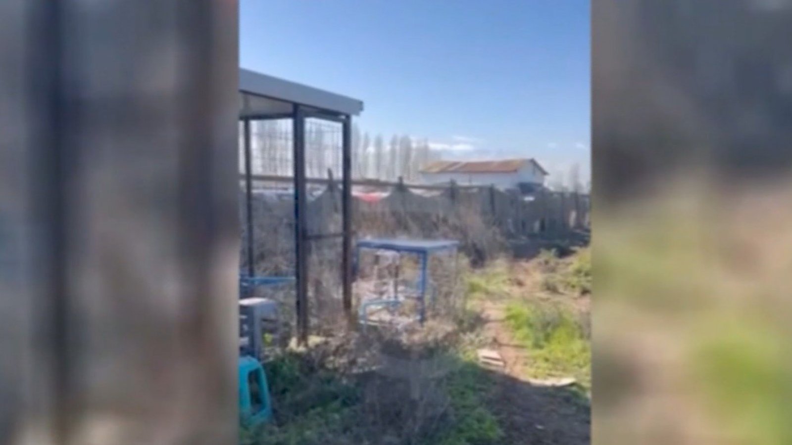 "Un plomazo, mamahuevo": Revelan impactantes relatos de balacera en Lampa
