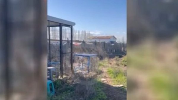 "Un plomazo, mamahuevo": Revelan impactantes relatos de balacera en Lampa
