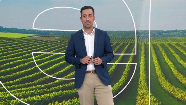 Reporte Agrícola - Capítulo 21 de julio de 2024
