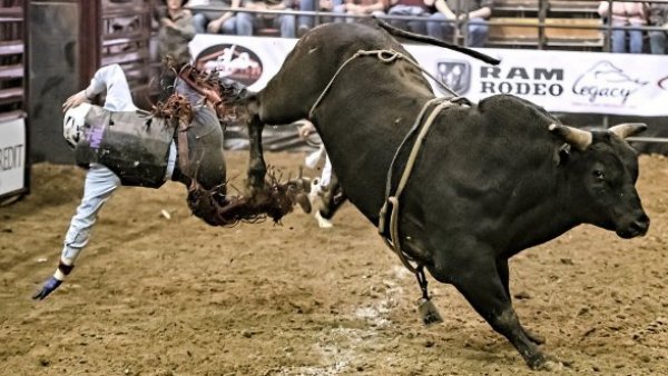 "No más olé": firman ley que prohíbe corridas de toros en Colombia
