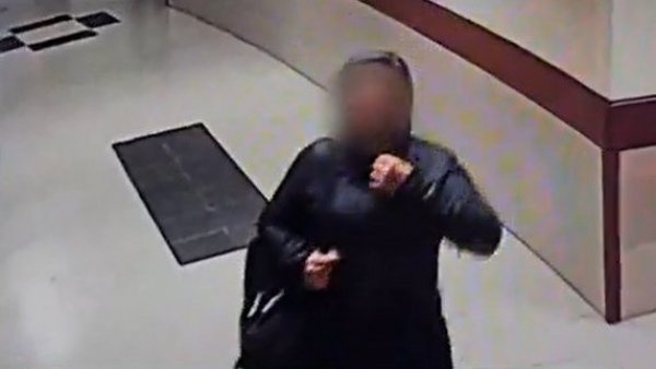 Había perdido a su bebé hace muy poco: ¿Quién fue la mujer que secuestró a guagua en Temuco?
