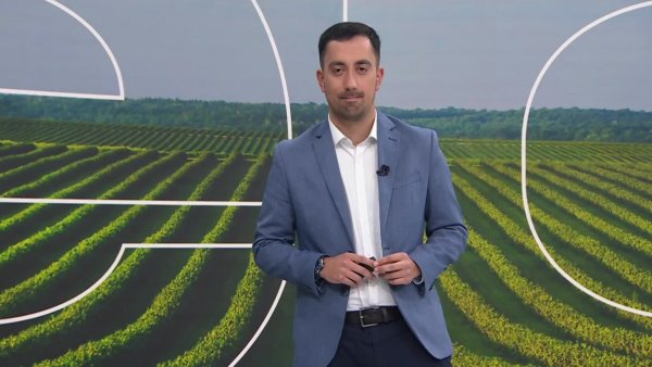 Reporte Agrícola - Capítulo 28 de julio de 2024