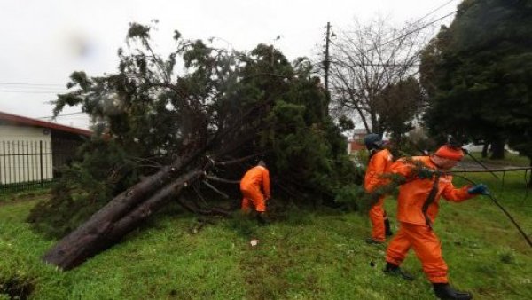 Suspenden clases en Coquimbo, La Araucanía y Biobío por sistema frontal
