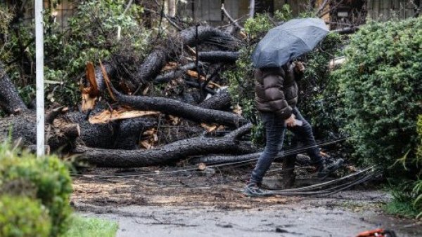 "Es el momento que esto cambie": El llamado de Iván Torres ante las consecuencias de fuertes lluvias y vientos
