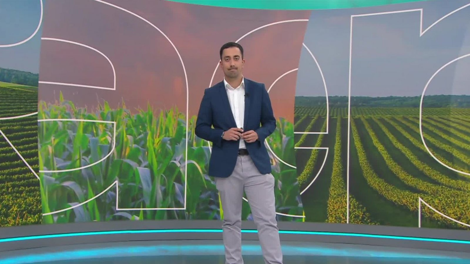 Reporte Agrícola - Capítulo 11 de agosto de 2024

