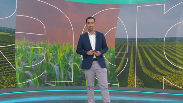 Reporte Agrícola - Capítulo 11 de agosto de 2024
