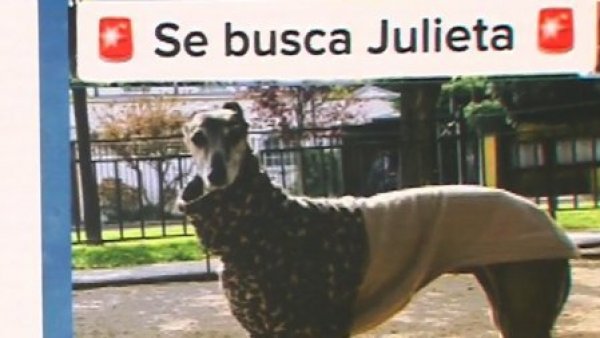 ¡Ayudemos a encontrar a Julieta!
