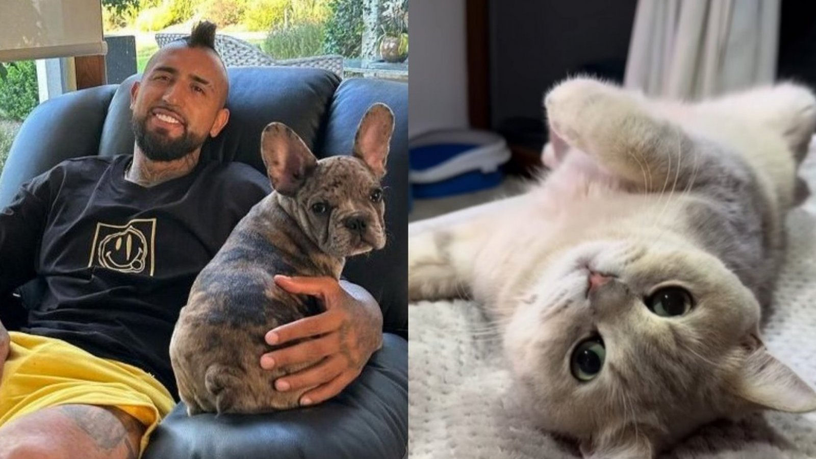 Arturo Vidal. Gato.