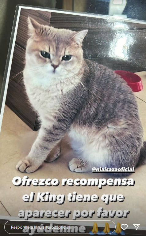 Gato. Arturo Vidal. 