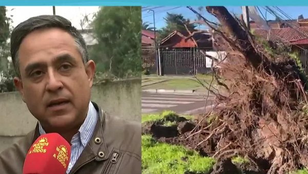 "Esto sobrepasa todos los límites de paciencia": Vecinos llevan 15 días sin luz
