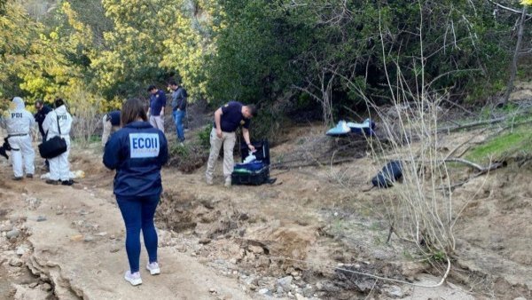 Cuerpo encontrado en Quilpué: PDI confirma ataque de animales como causa de muerte

