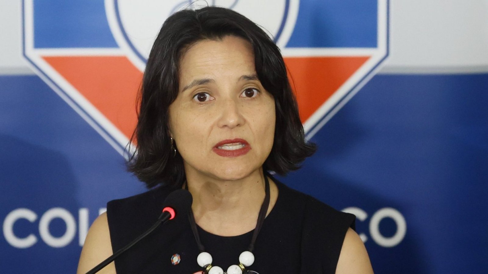 Presidenta del Colmed. Anamaria Arriagada.