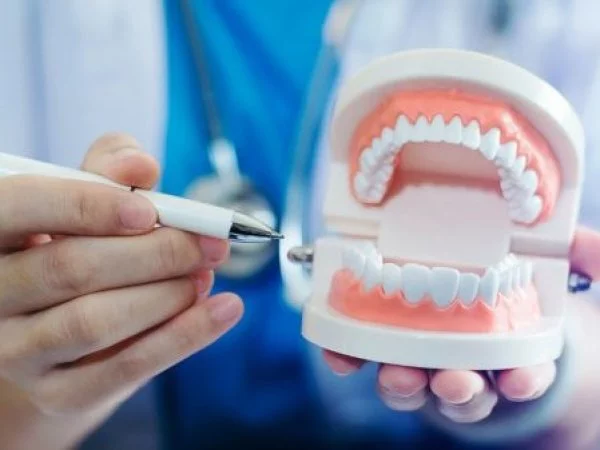 Dentista. Salud bucal.