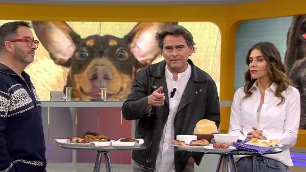 La advertencia de Sebastián Jiménez: "No le dé por ningún motivo longanizas ni choricillos a los perros"