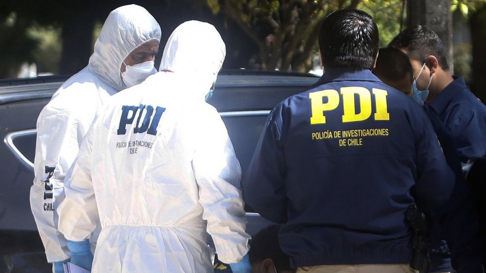 PDI.