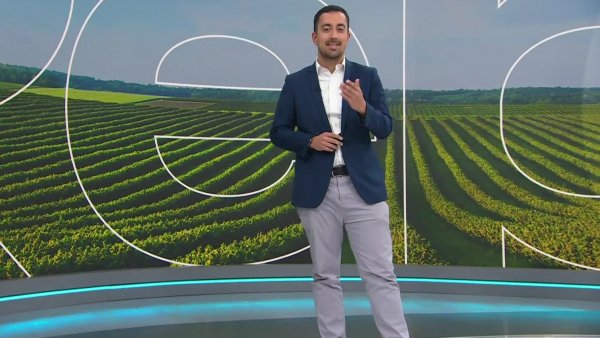 Reporte Agrícola - Capítulo 08 de septiembre de 2024
