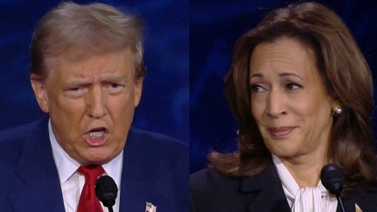 Comer perros y aborto a los nueve meses: Los delirantes momentos que marcaron el debate de Trump y Harris
