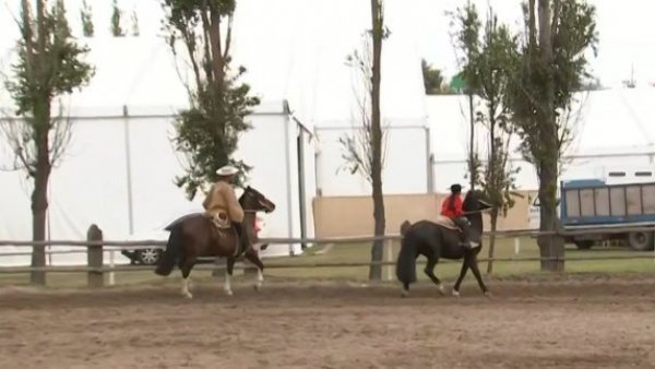 ¡Todo listo para celebrar las Fiestas Patrias en el Parque Padre Hurtado!
