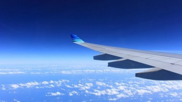 Avión aterrizó de emergencia en Dinamarca por presencia de ratón en comida de pasajero
