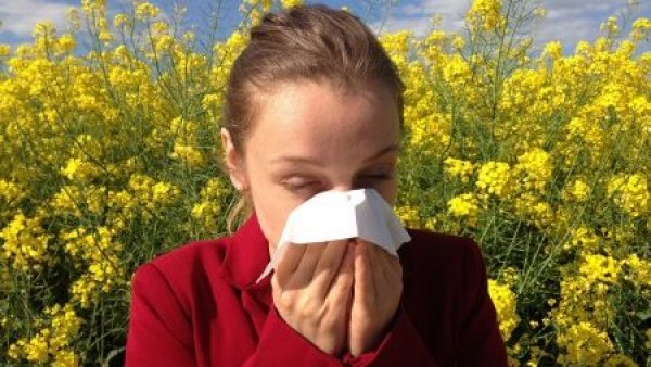 Recomendaciones para evitar síntomas de la alergia primaveral
