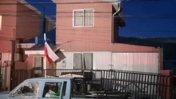Maltrato animal en Punta Arenas: hombre mató a un perro con un martillo
