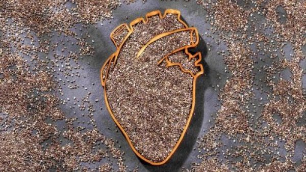 Estudio respalda el impacto de la chía en la prevención de riesgos cardiovasculares