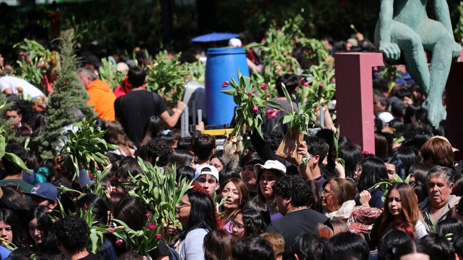 Caos y desastre total por tulipanes gratis en Las Condes
