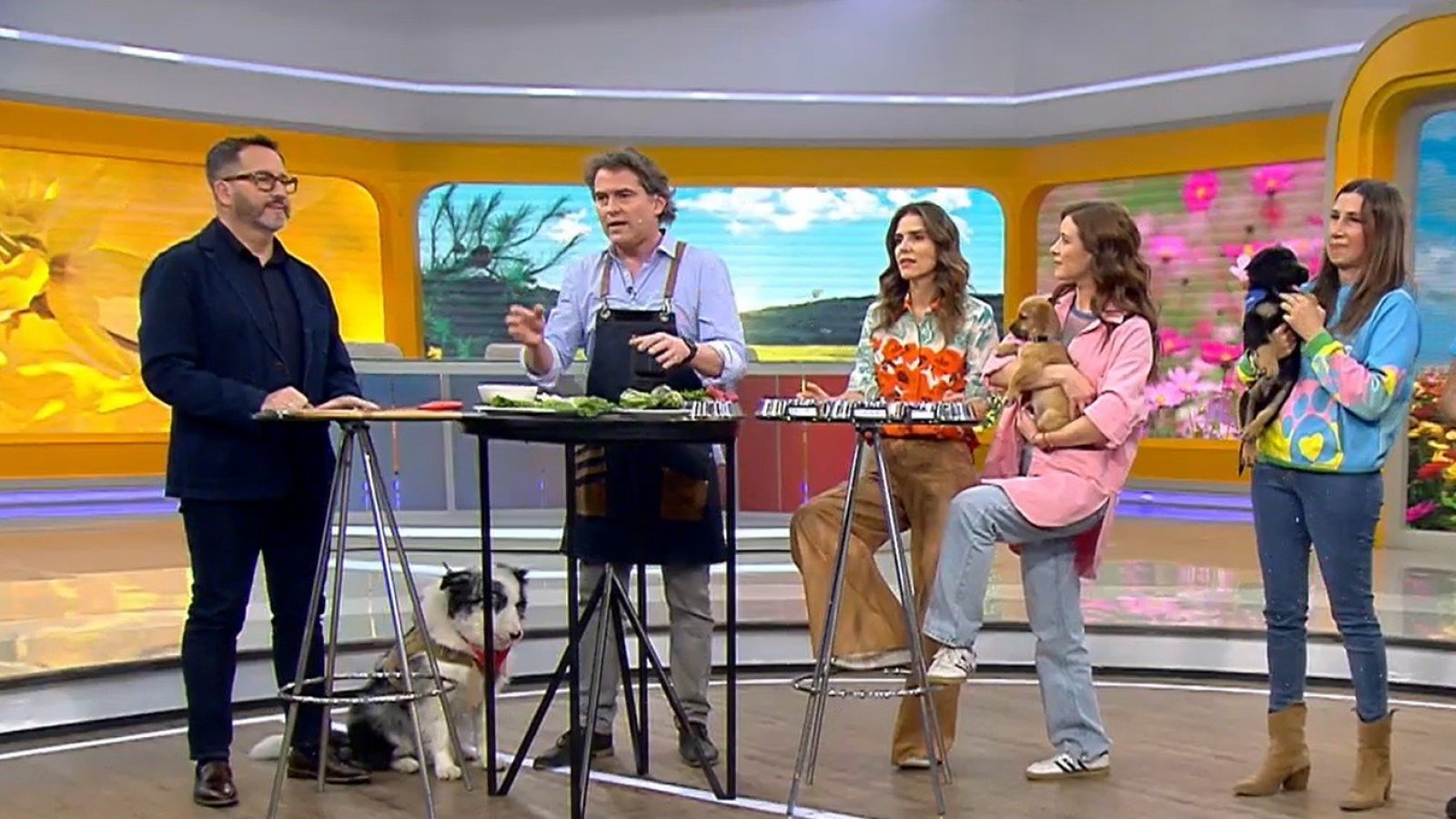 Para todo Chile y 24 Horas al día: Sebastián Jiménez anuncia la creación del Fono Mascotas
