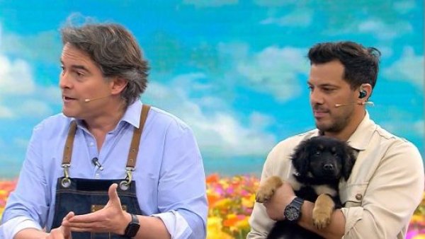 Sebastián Jiménez nos advierte sobre las alergias alimentarias en mascotas
