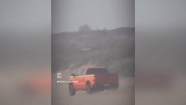 Estupidez suprema: Conductor atropella intencionalmente nidos y aves protegidas en Ritoque
